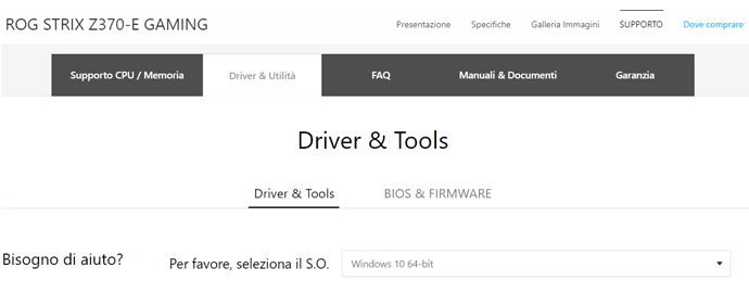 driver scheda madre