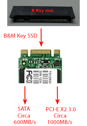 differenze b&m key ssd