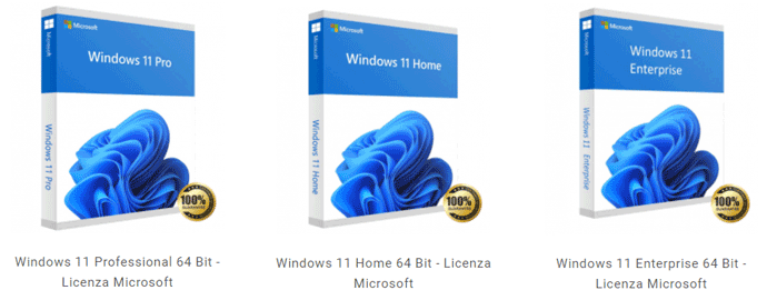 miglior prezzo windows 11