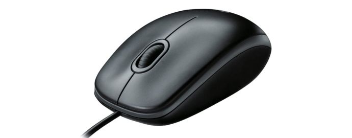 Logitech B100